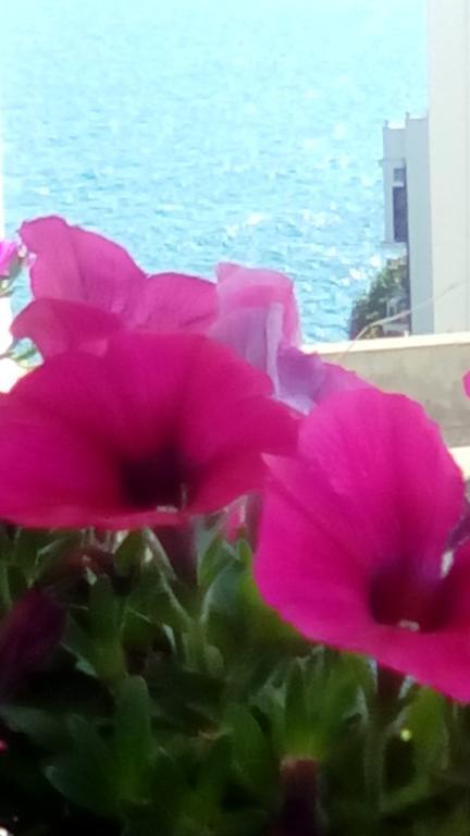 Tra Le Mura Polignano a Mare Ngoại thất bức ảnh