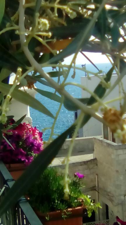 Tra Le Mura Polignano a Mare Ngoại thất bức ảnh