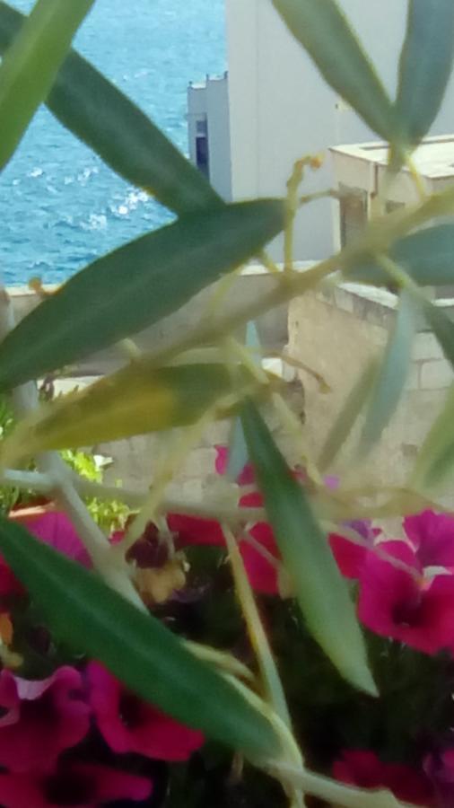 Tra Le Mura Polignano a Mare Ngoại thất bức ảnh
