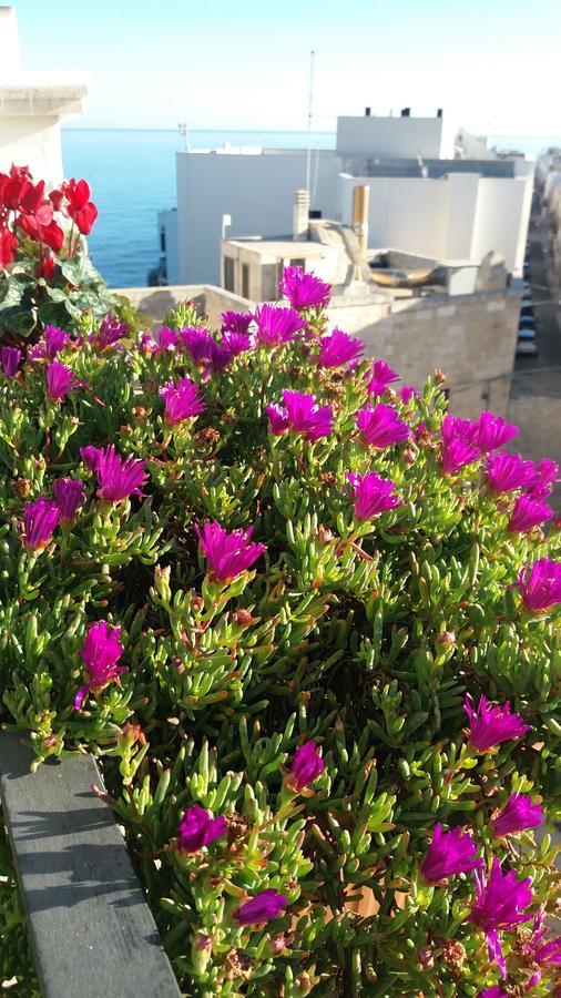 Tra Le Mura Polignano a Mare Ngoại thất bức ảnh
