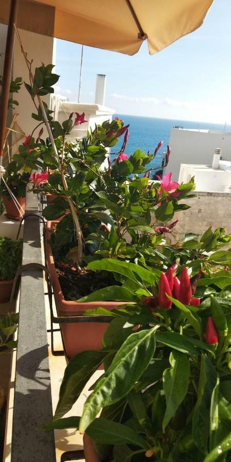 Tra Le Mura Polignano a Mare Ngoại thất bức ảnh